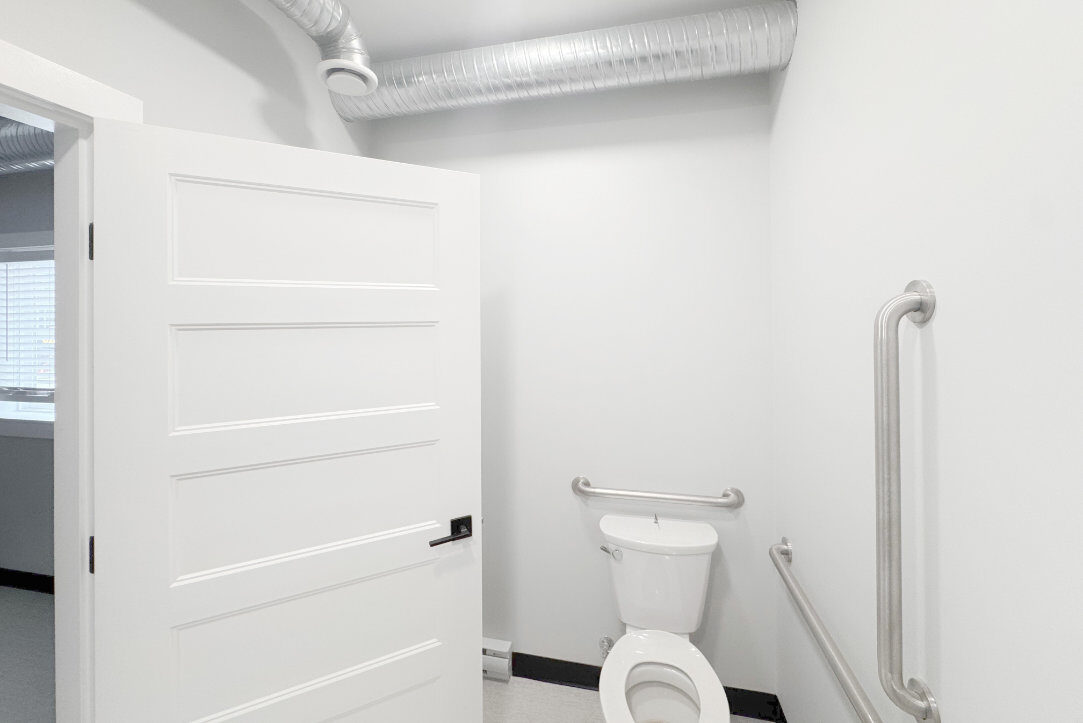 Accessible washroom with toilet and grab bars